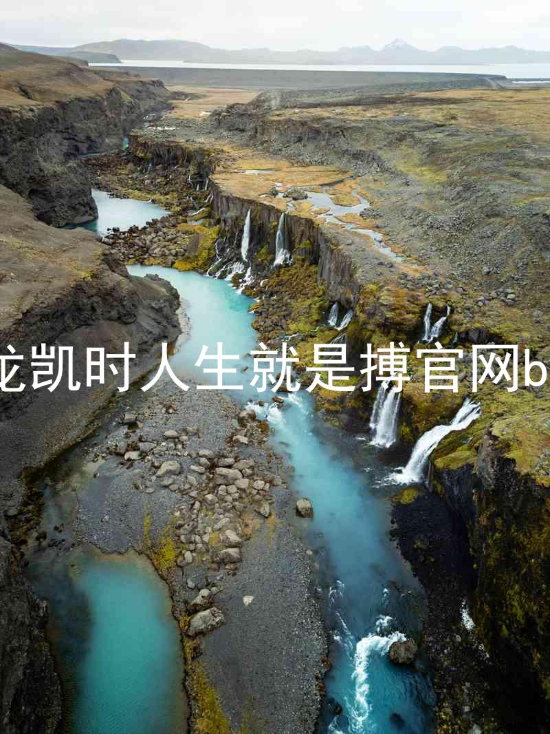 尊龙凯时人生就是搏官网bjl8